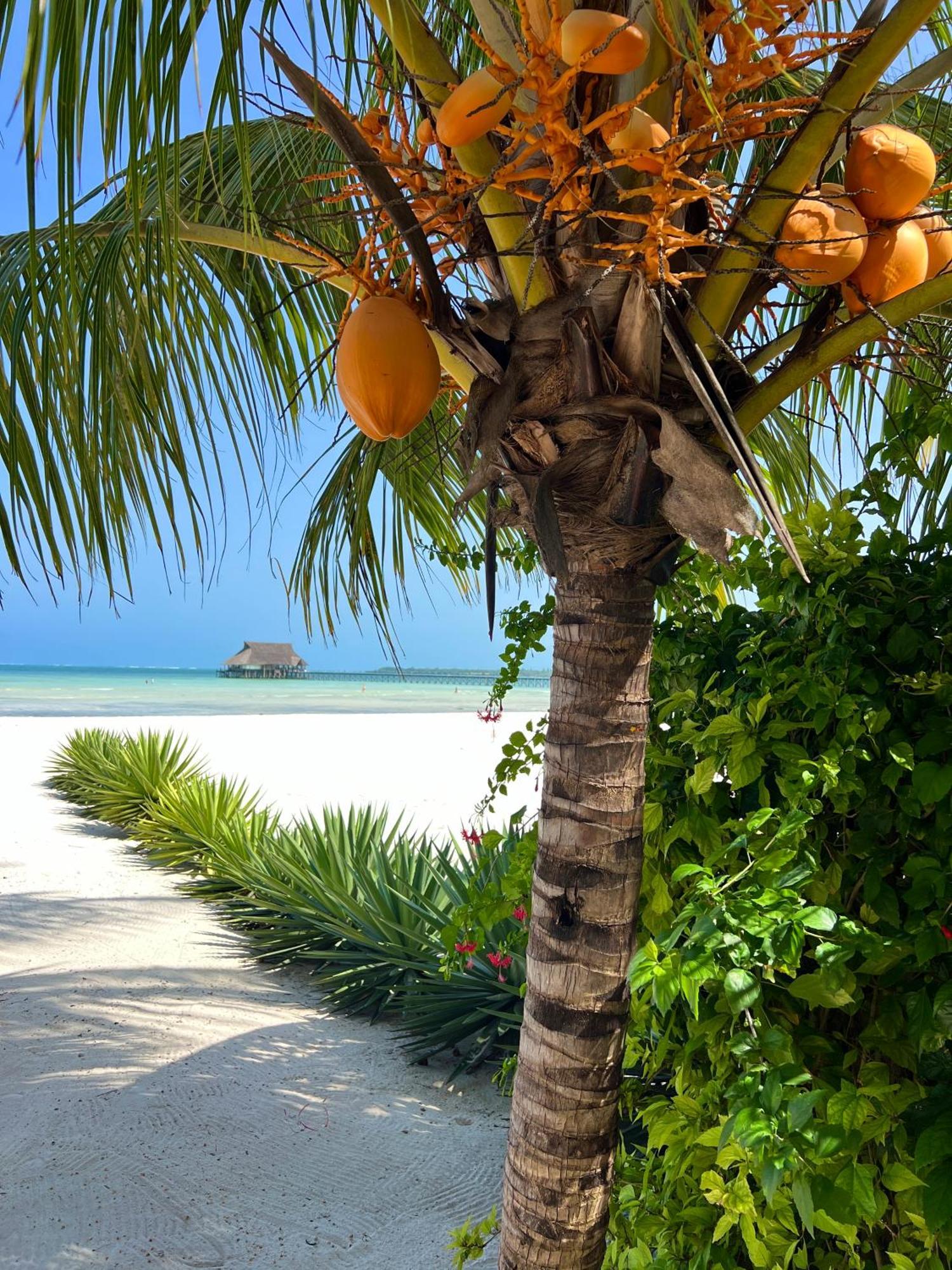 Karibu Beach Resort Pongwe Bagian luar foto